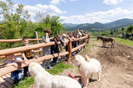 PIVKA DRŽAVNO TEKMOVANJE MLADIH ČEBELARJEV 11.5.2024 - Valter Leban-0605 (Small)